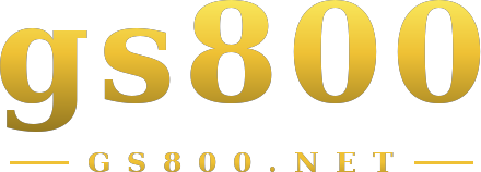 gs800 logo